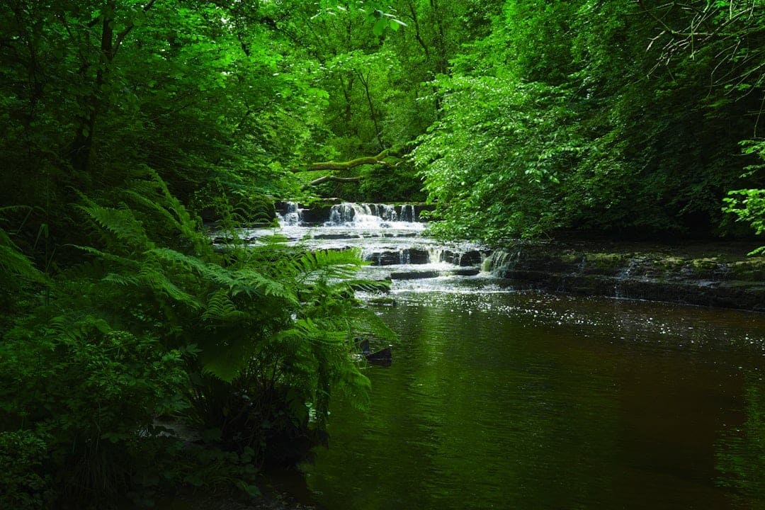 Discover Dominica: The Nature Island