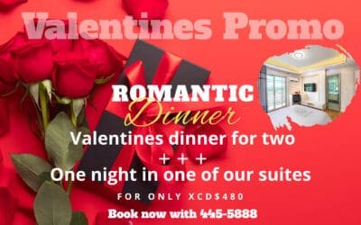 One Night Dinner for Two